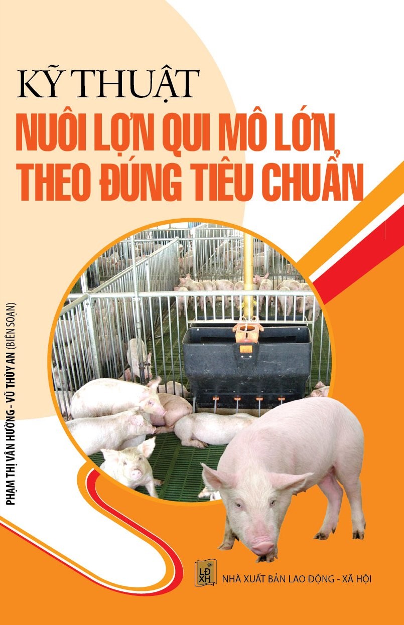 Kỹ Thuật Nuôi Lợn Quy Mô Lớn Theo Đúng Tiêu Chuẩn