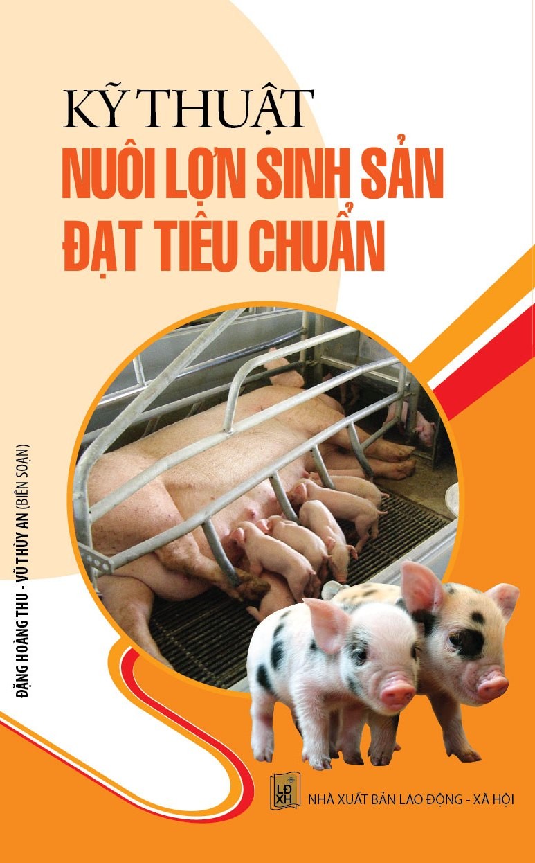 Kỹ Thuật Nuôi Lợn Sinh Sản Đạt Tiêu Chuẩn