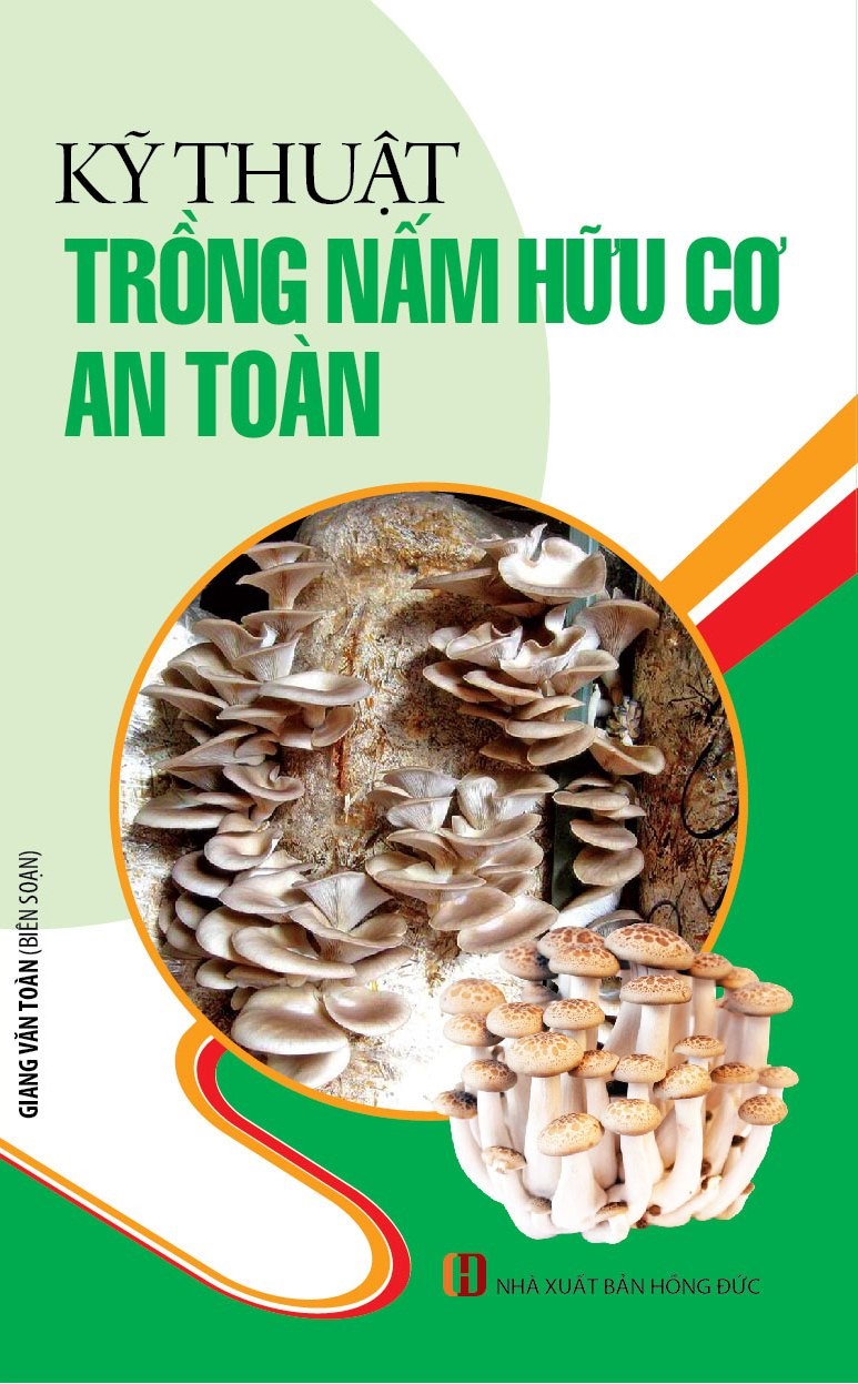 Kỹ Thuật Trồng Nấm Hữu Cơ An Toàn