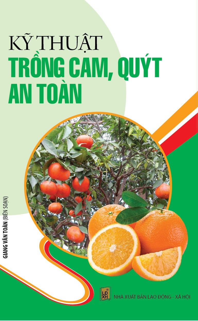 Kỹ Thuật Trồng Cam, Quýt An Toàn