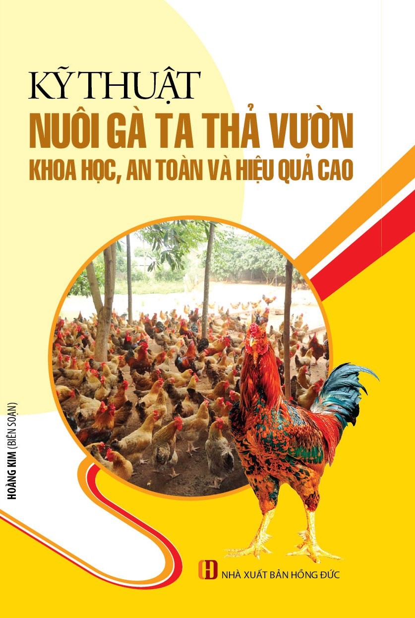 Kỹ Thuật Nuôi Gà Ta Thả Vườn Khoa Học, An Toàn Và Hiệu Quả Cao