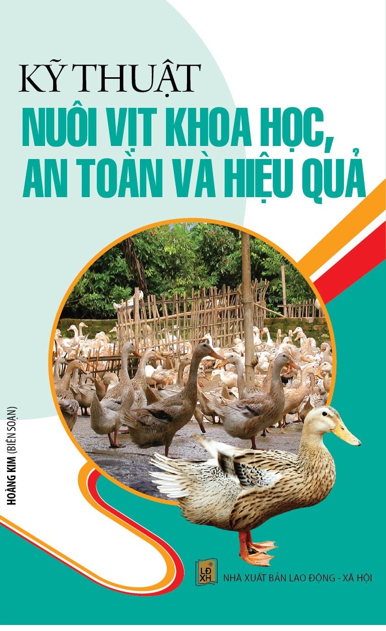 Kỹ Thuật Nuôi Vịt Khoa Học An Toàn Và Hiệu Quả