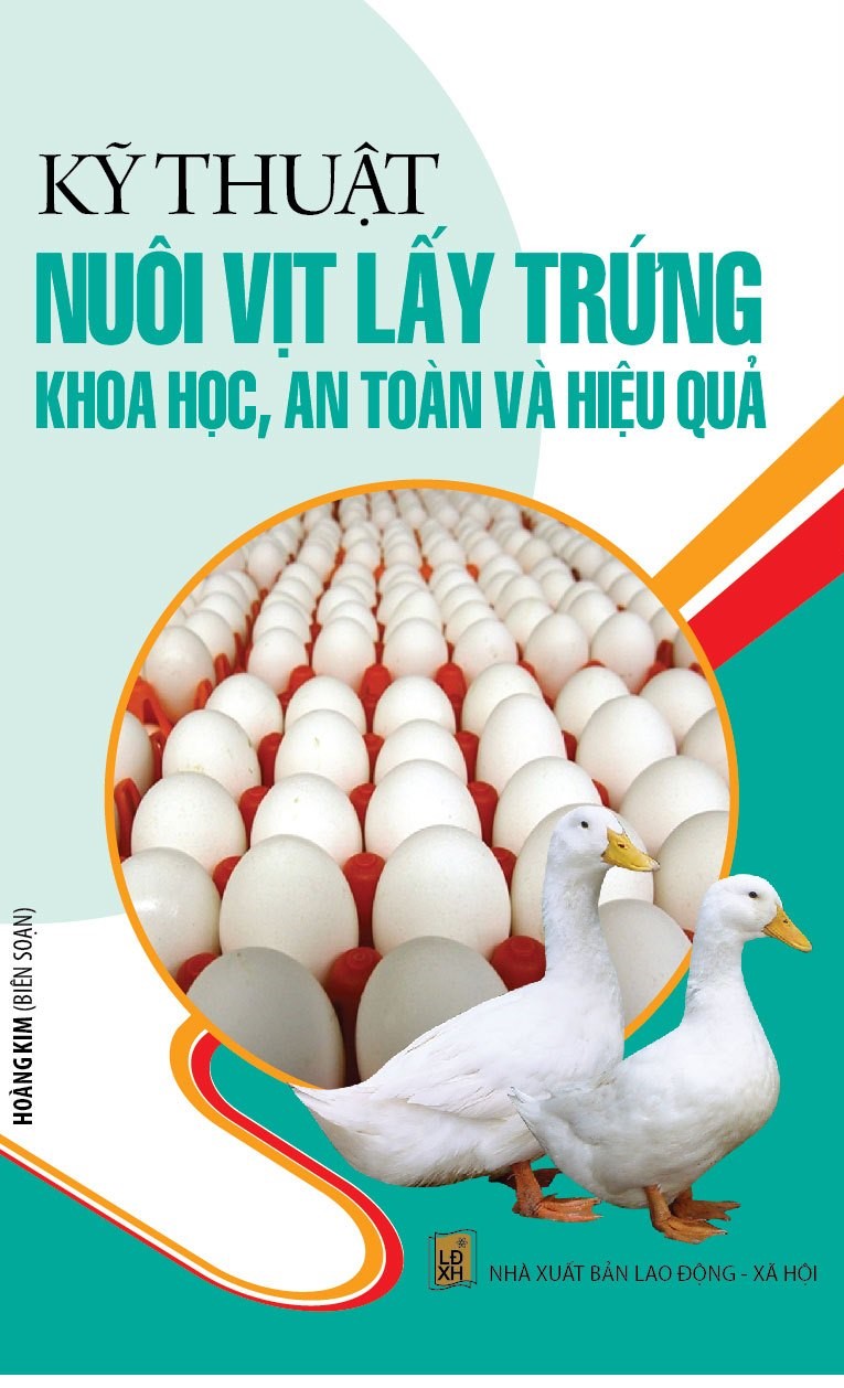  Kỹ Thuật Nuôi Vịt Lấy Trứng Khoa Học, An Toàn Và Hiệu Quả