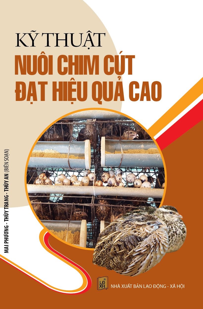 Kỹ Thuật Nuôi Chim Cút Đạt Hiệu Quả Cao