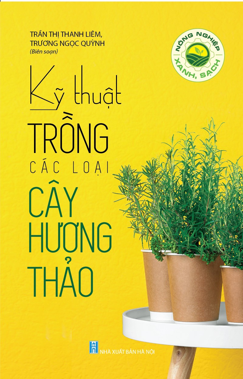 Kỹ Thuật Trồng Các Loại Cây Hương Thảo