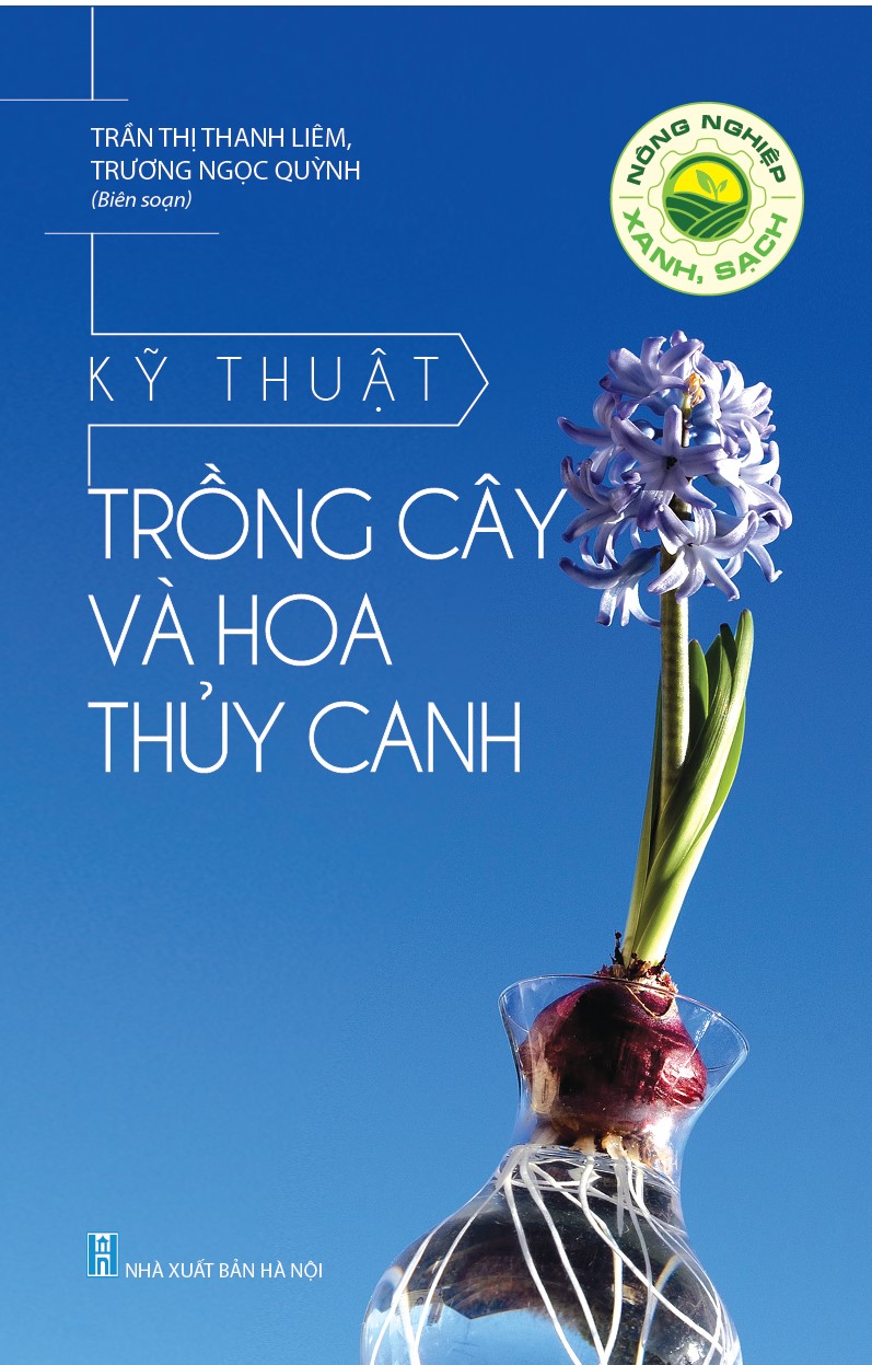 Kỹ Thuật Trồng Cây Và Hoa Thủy Canh