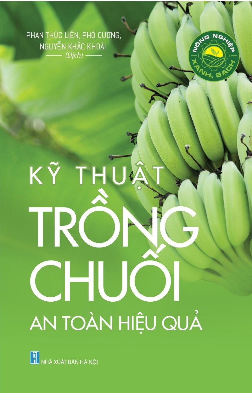 Kỹ Thuật Trồng Chuối An Toàn Hiệu Quả