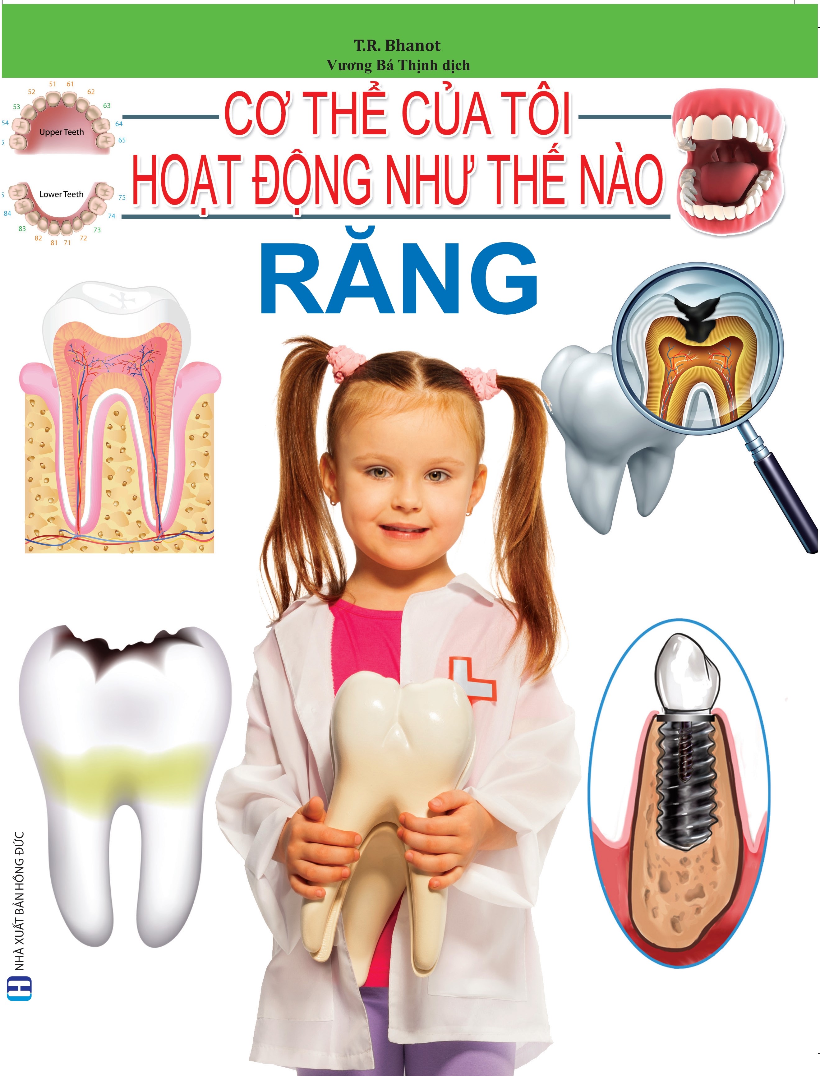 Cơ Thể Của Tôi Hoạt Động Như Thế Nào - Răng - 07