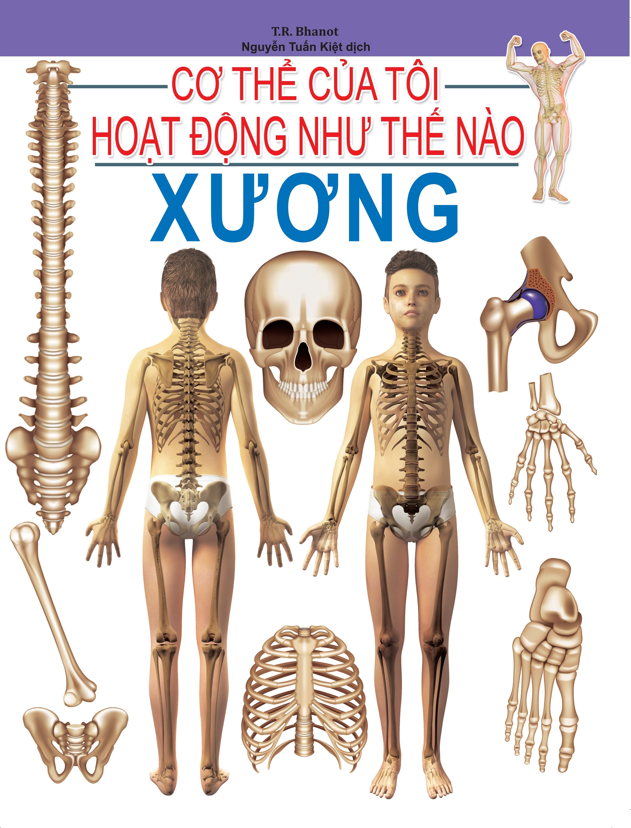 Cơ Thể Của Tôi Hoạt Động Như Thế Nào - Xương - 08