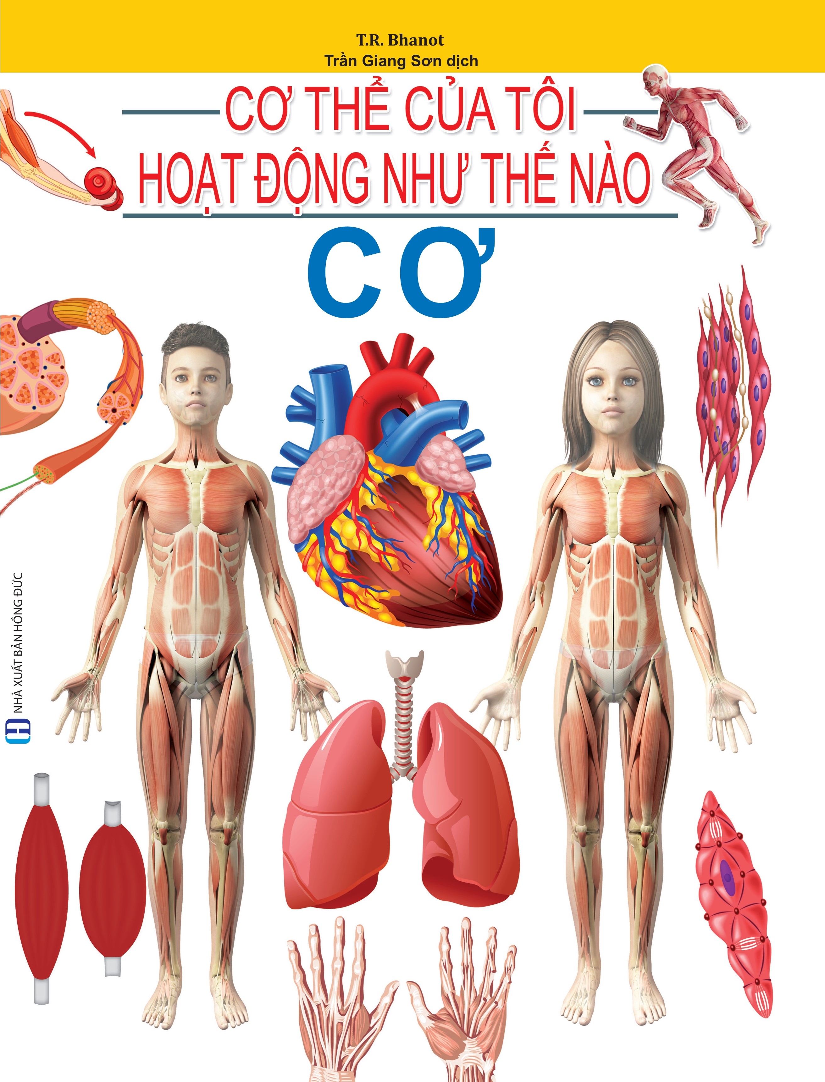 Cơ Thể Của Tôi Hoạt Động Như Thế Nào - Cơ - 09