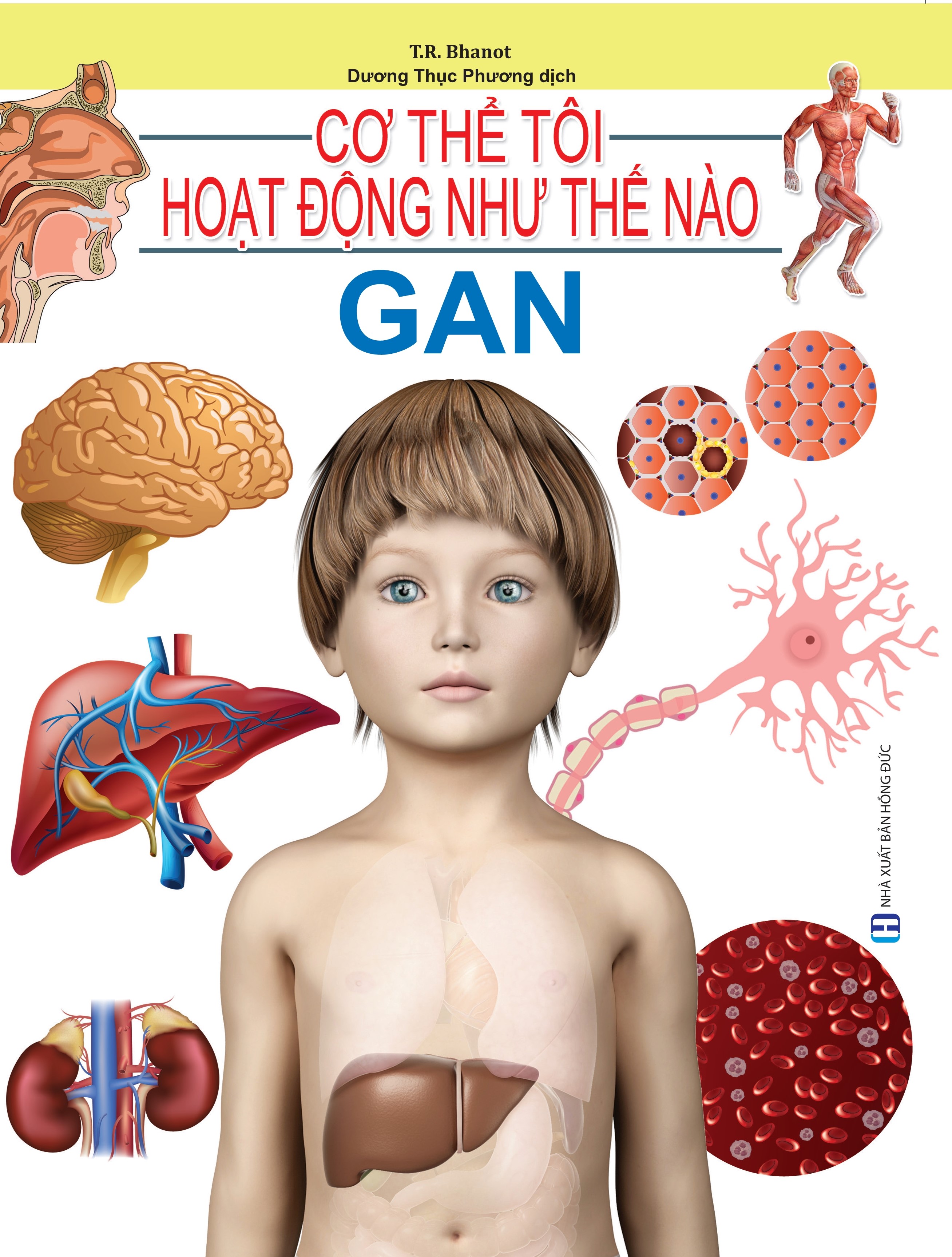 Cơ Thể Của Tôi Hoạt Động Như Thế Nào - Gan - 11