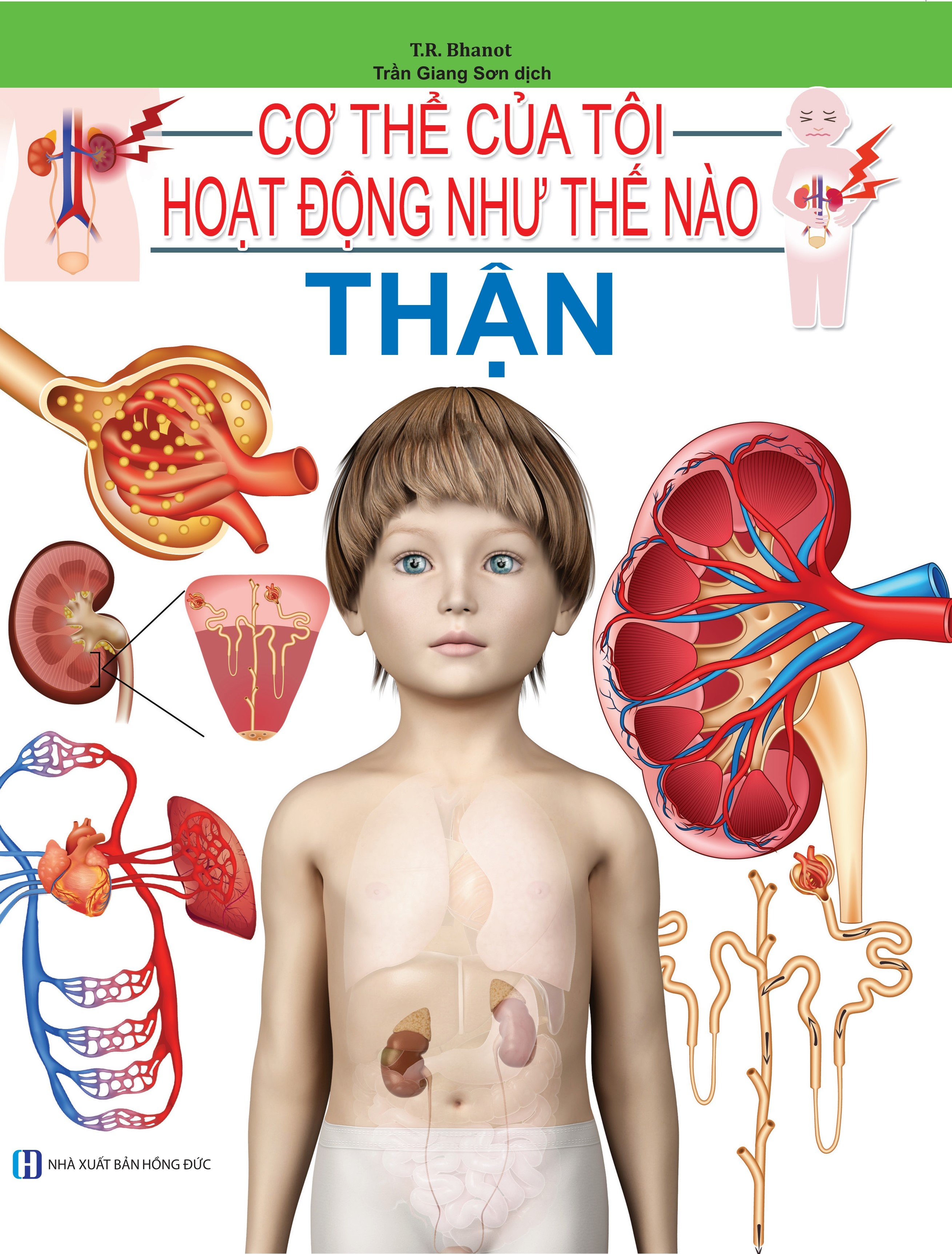 Cơ Thể Của Tôi Hoạt Động Như Thế Nào - Thận - 12