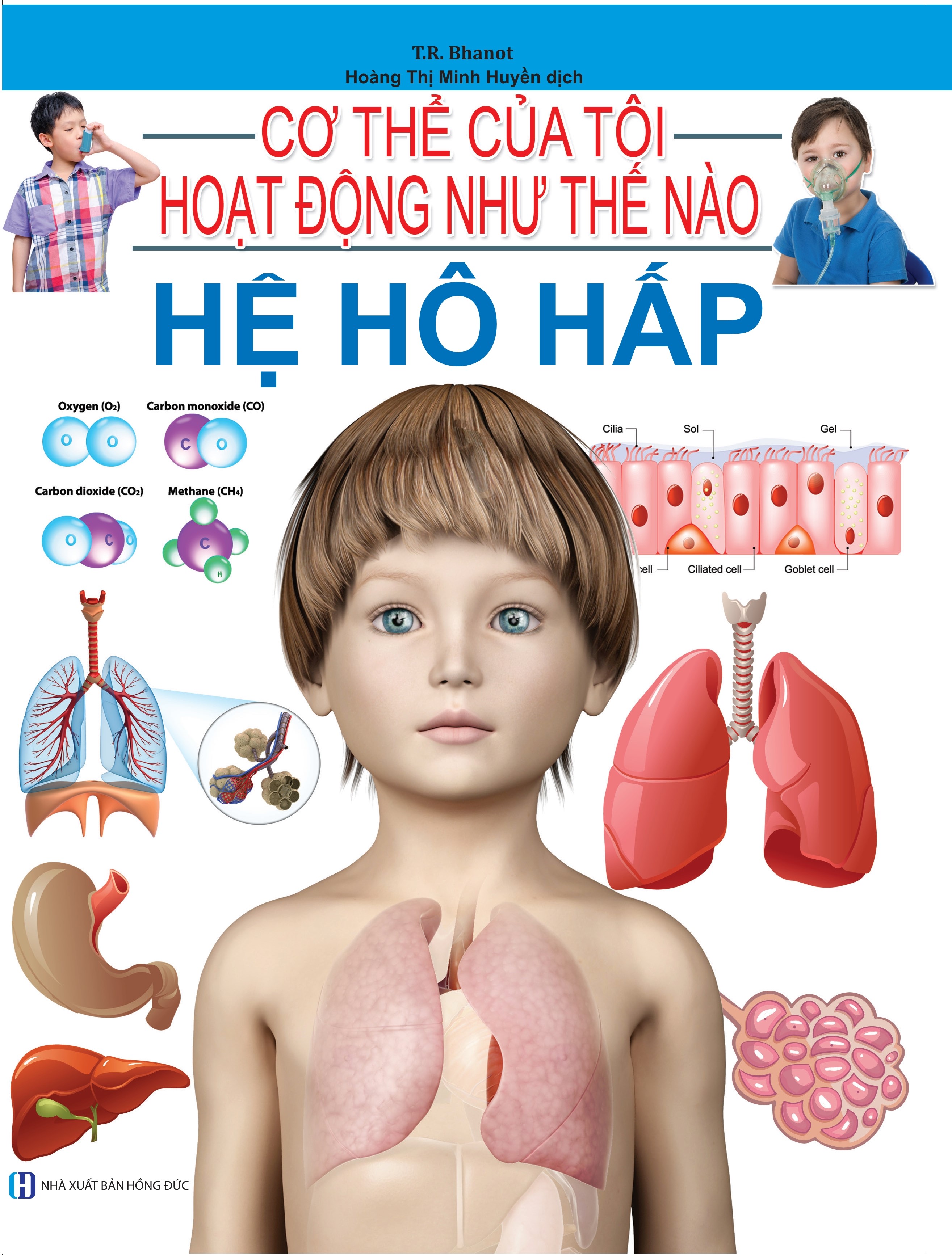 Cơ Thể Của Tôi Hoạt Động Như Thế Nào - Hệ Hô Hấp - 14