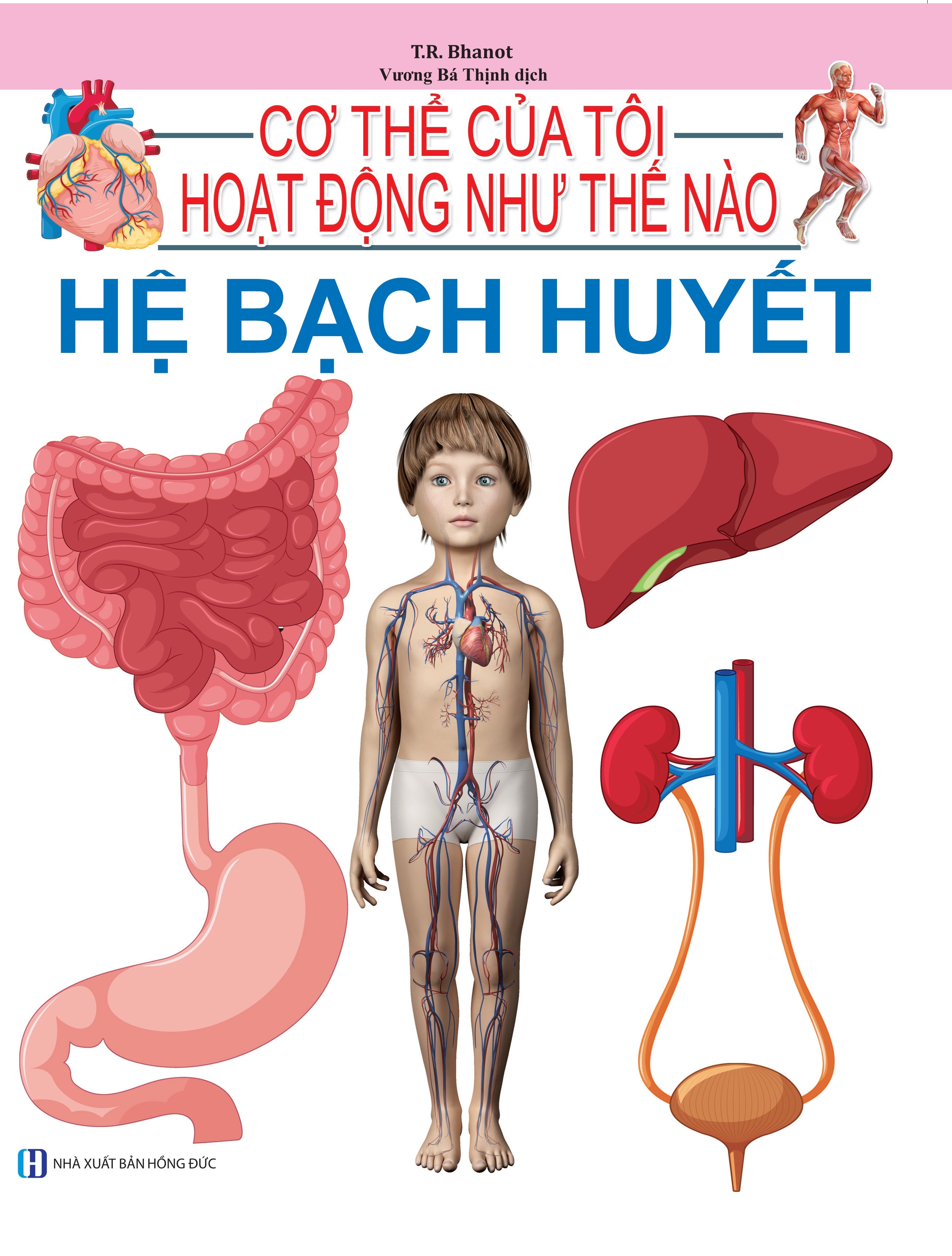 Cơ Thể Của Tôi Hoạt Động Như Thế Nào - Hệ Bạch Huyết - 15